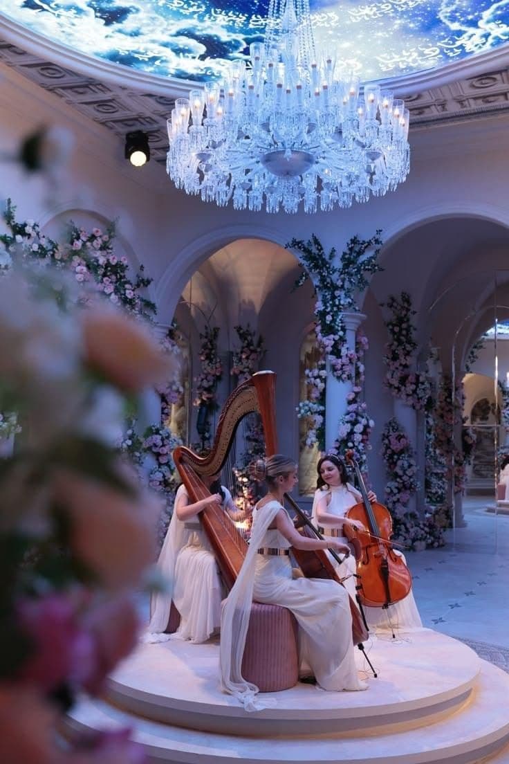 Harp & Cello Artist
